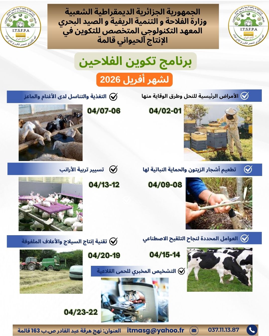 صورة 11